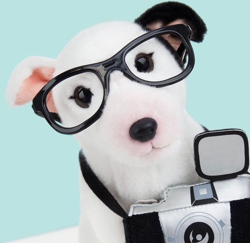STUDIO PETS – KUSCHELTIER "CHARLIE" (23 CM) INKL. KAMERA & KOFFER