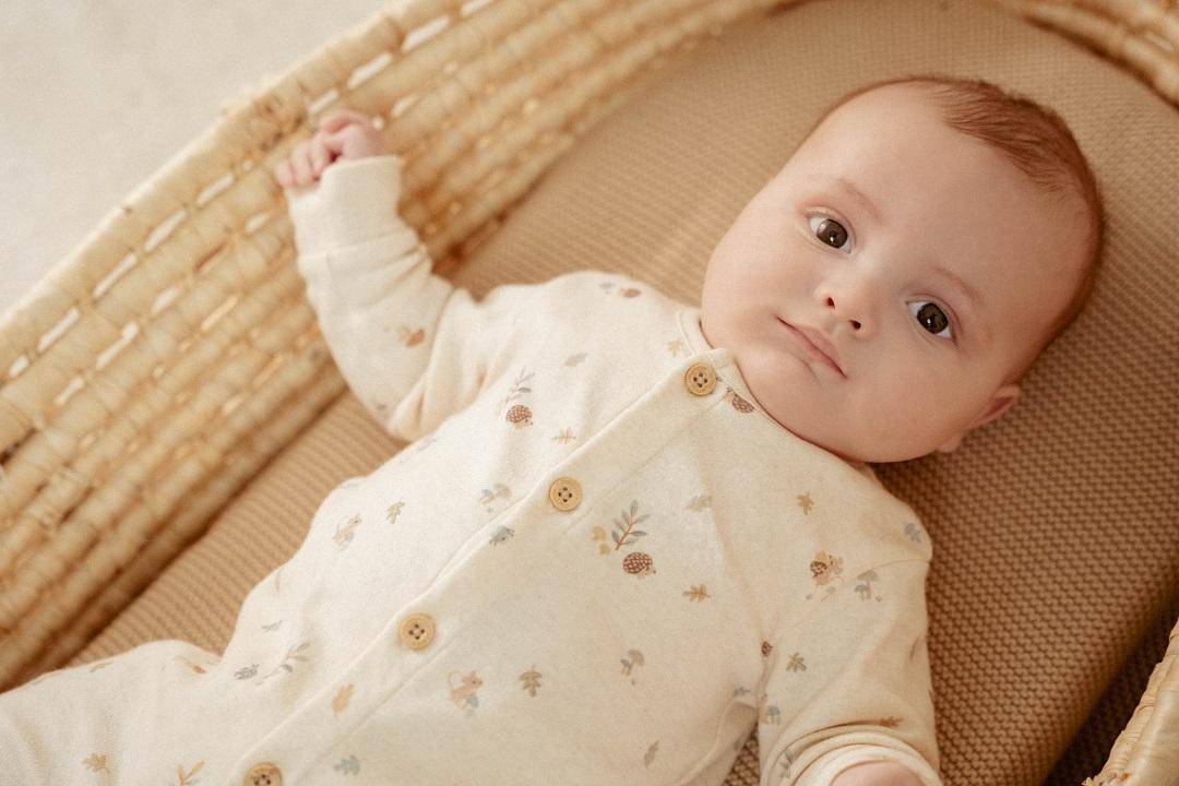 Player Forest Nature | Little Dutch