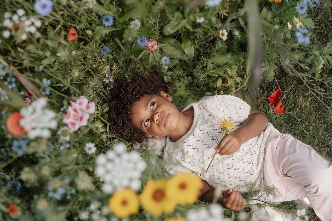 Lotus Pants | Little Dutch