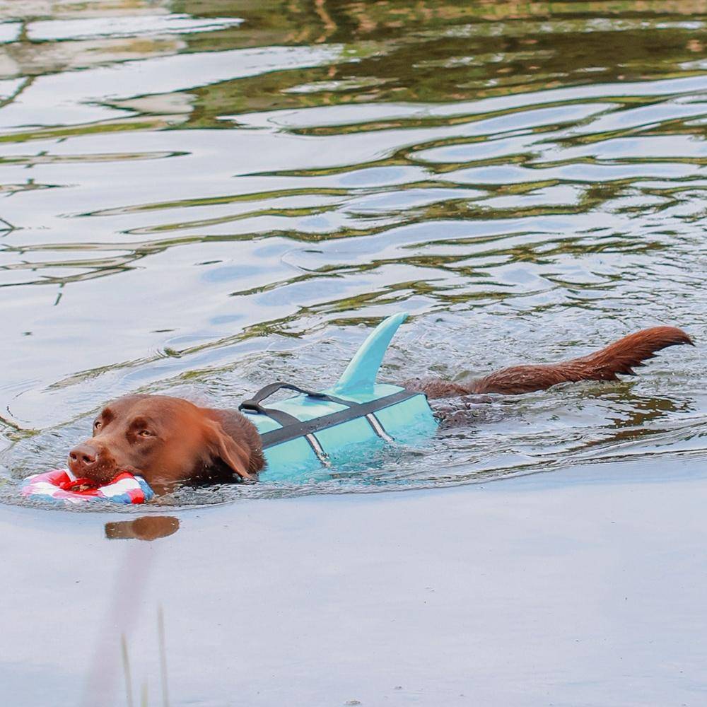 Gilet de sauvetage pour chien « Sharki » bleu clair, taille : L - 40 cm | Nobby