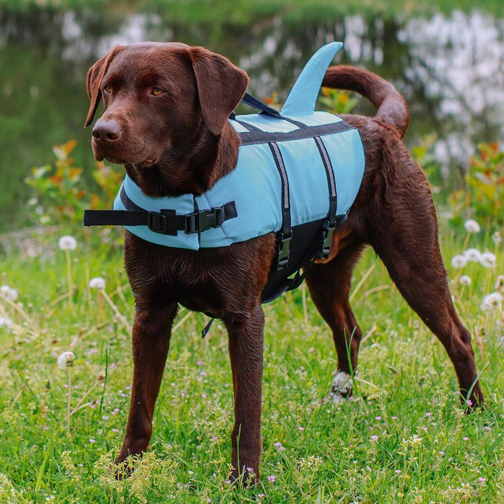 Gilet de sauvetage pour chien « Sharki » bleu clair, taille : L - 40 cm | Nobby