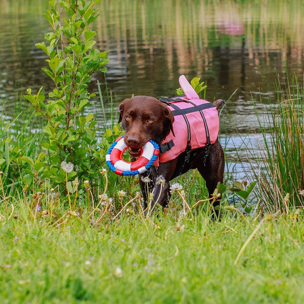 Gilet de sauvetage pour chien « Sharki » rose, taille L - 40 cm | Nobby