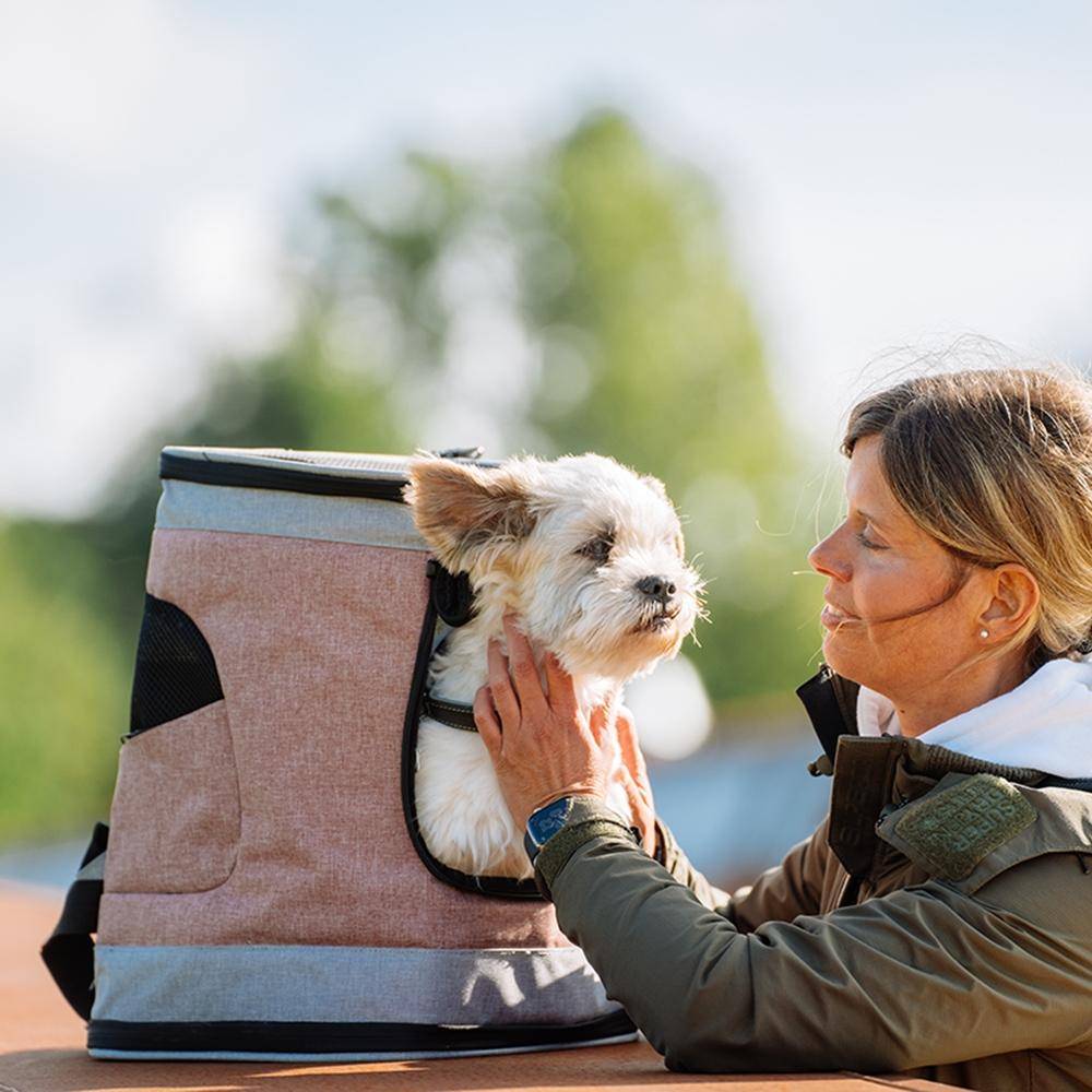 Nobby Rucksack PLATA Altrosa-Grau 34×30×43 cm | Nobby
