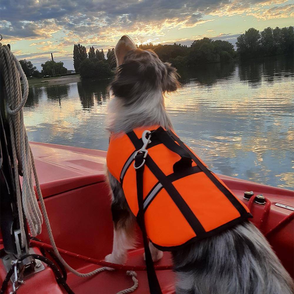 Gilet de sauvetage pour chien orange fluo taille : M - 35 cm | Nobby
