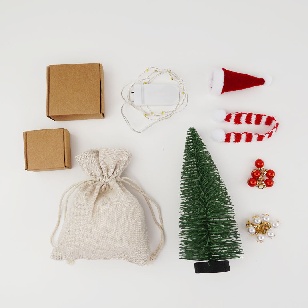 Coffret Noël et Saint-Nicolas | Manuel du Père Noël secret