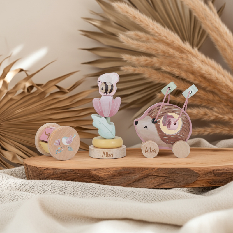 Fairy Garden Wooden Gift Set
