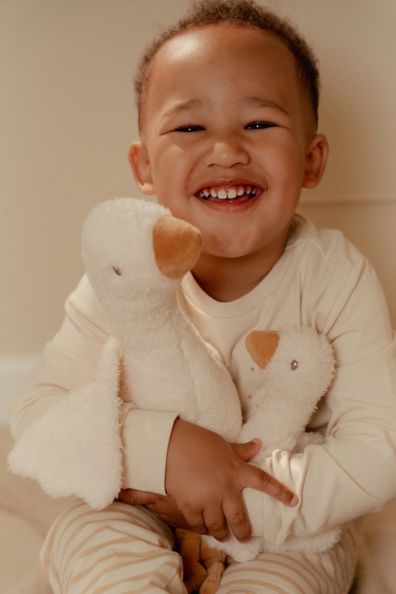 Cuddly toy Little Goose GRS 25cm | Little Dutch