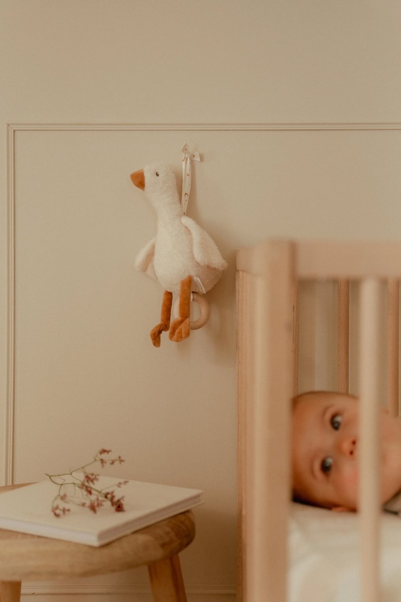 Spieluhr Little Goose GRS | Little Dutch