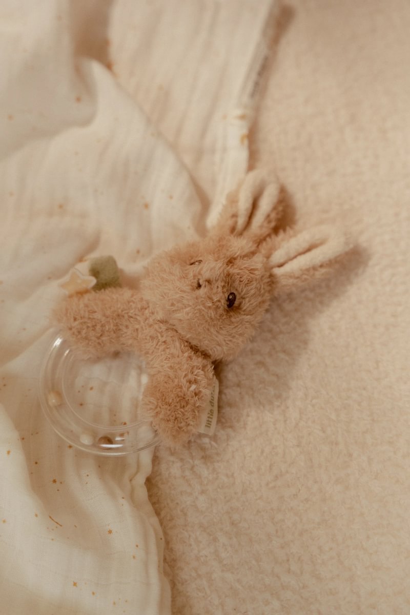 Ring rattle Newborn Naturals GRS | Little Dutch