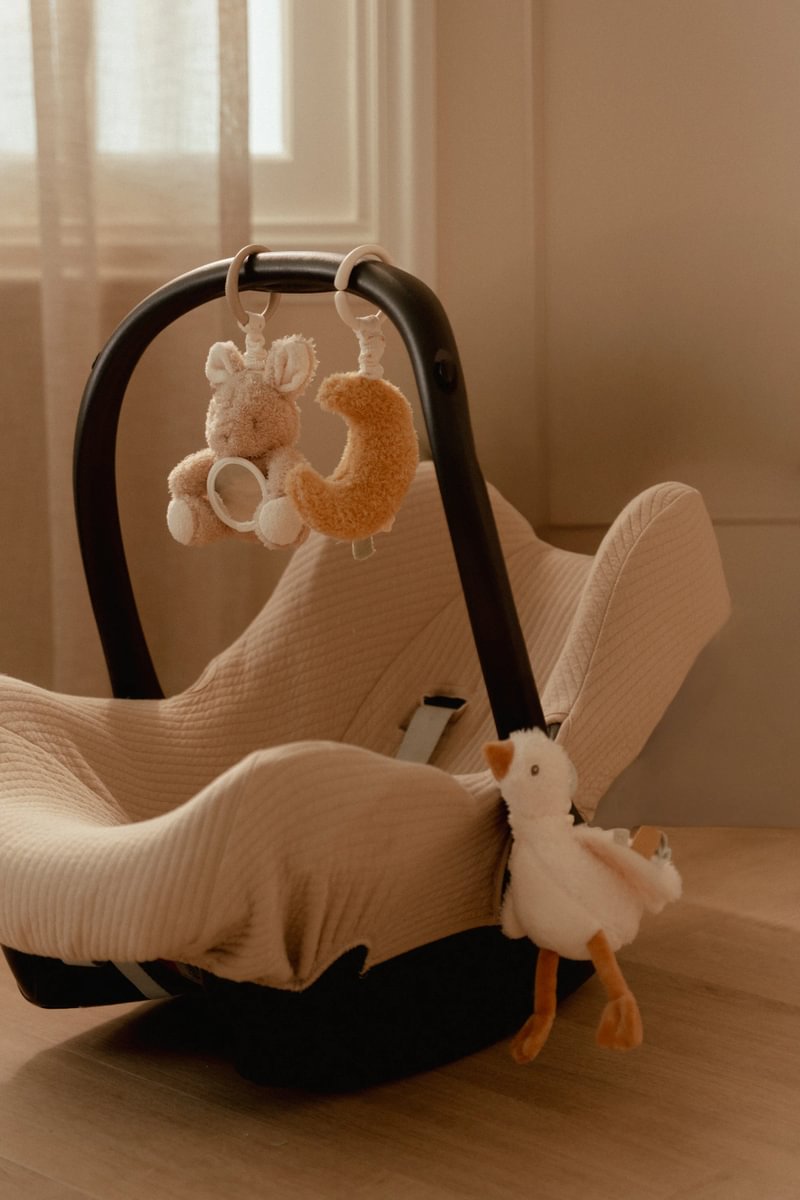 Aktivitätshänger Newborn Naturals GRS | Little Dutch