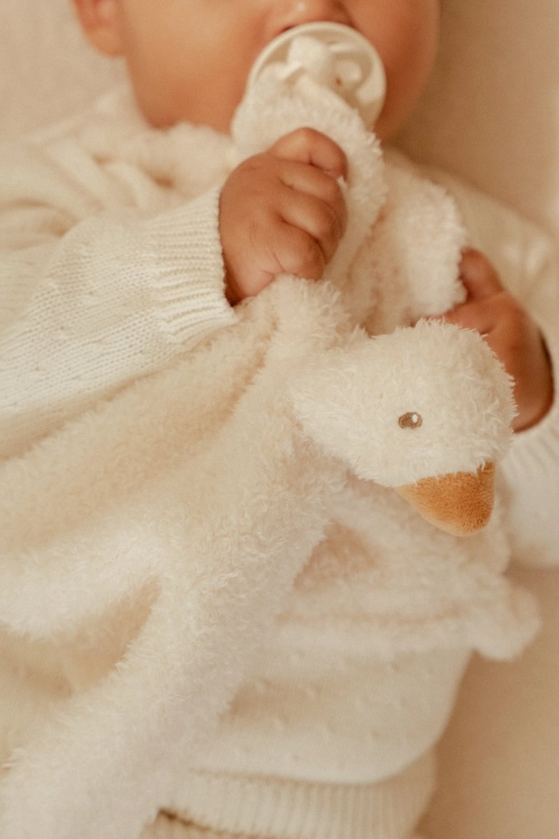 Schmusetuch Little Goose GRS | Little Dutch