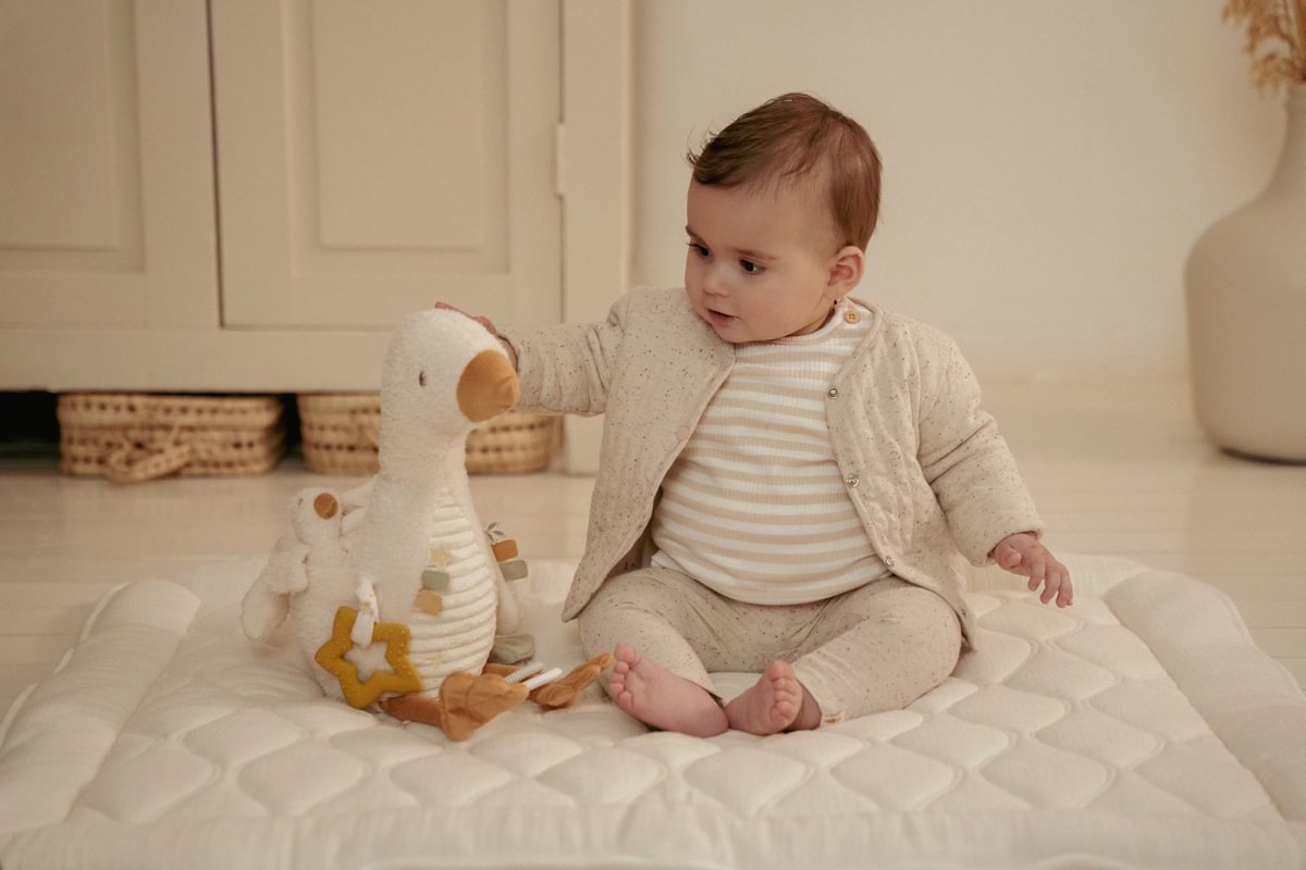 Aktivitätsschmusetier Little Goose GRS | Little Dutch