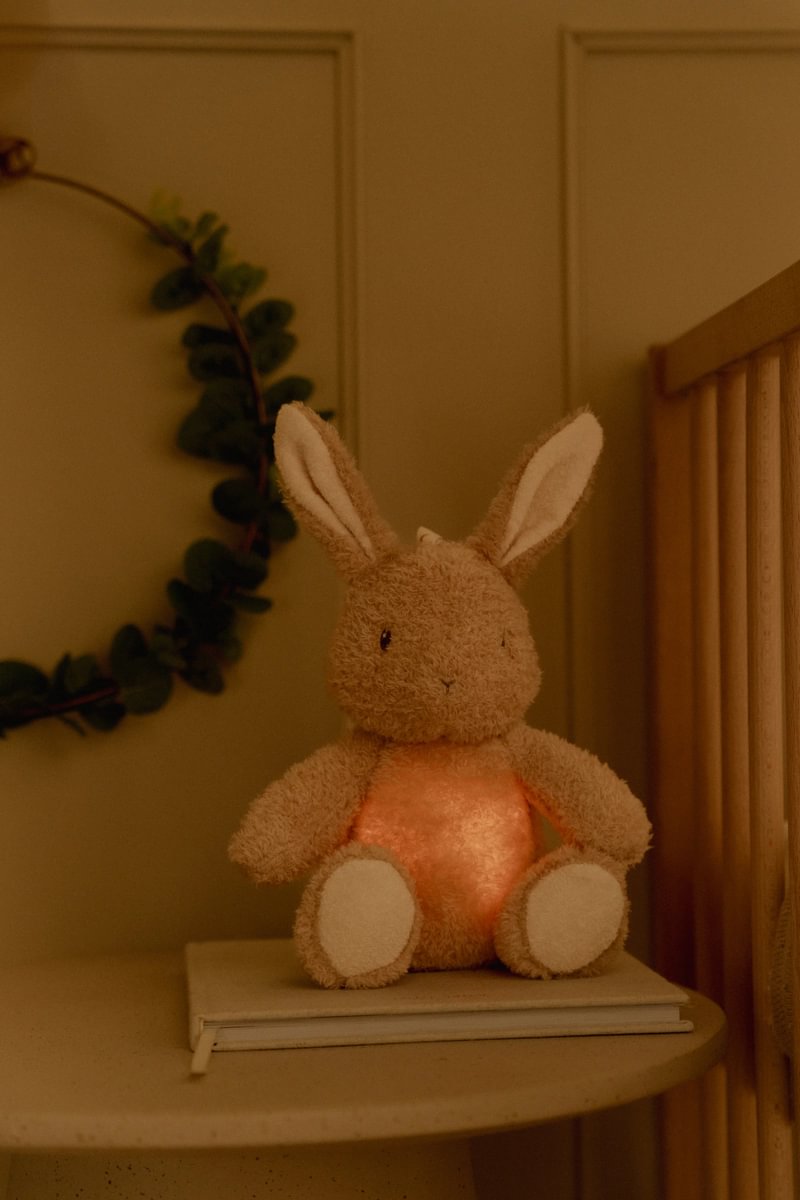 Kuschel-Hase Licht & Sound GRS | Little Dutch