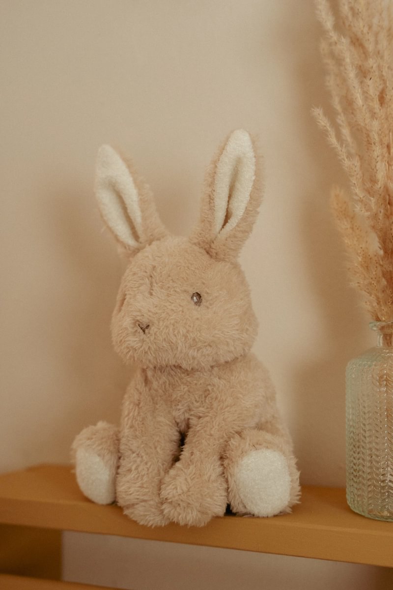 Baby Bunny Plush Toy 15cm GRS | Little Dutch