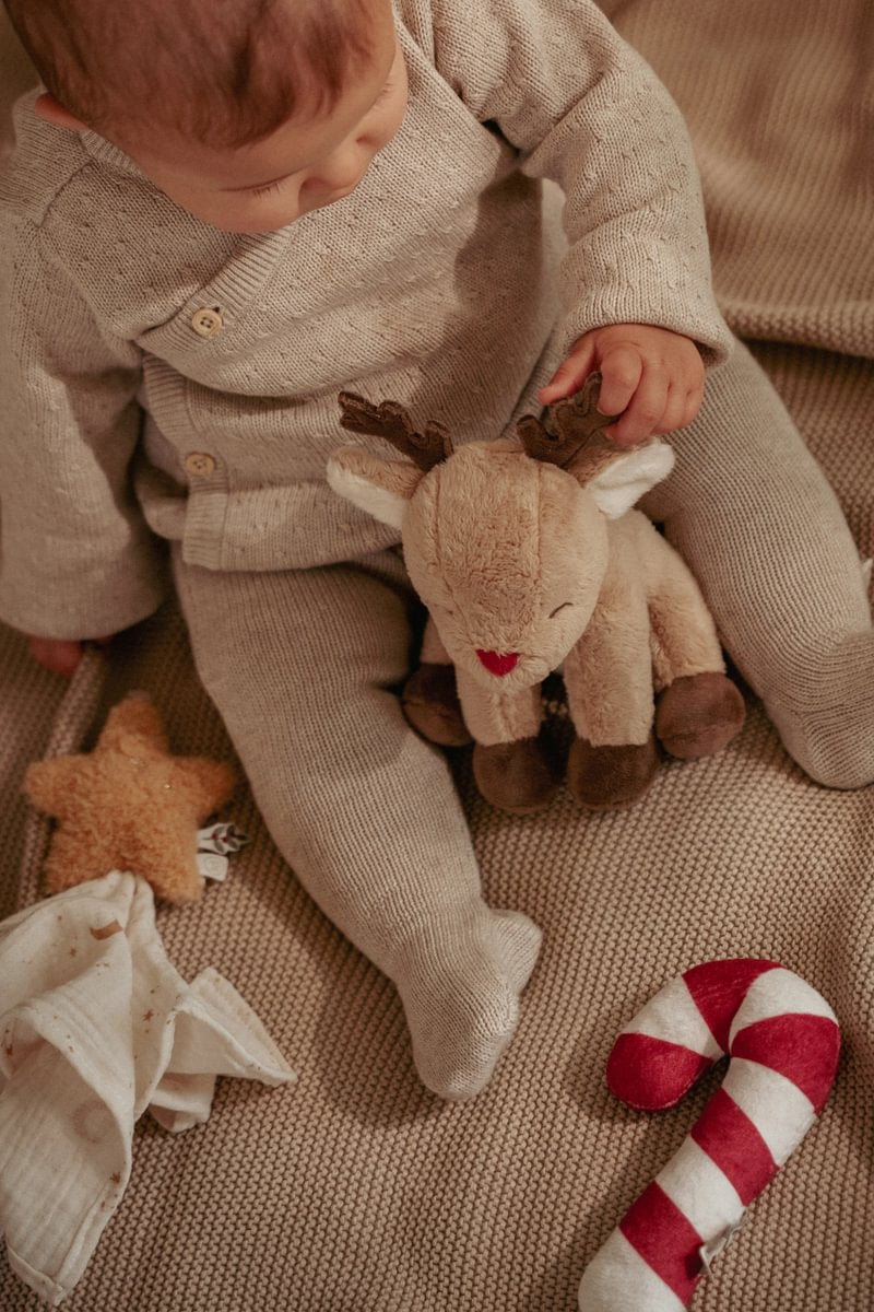 Weihnachtsgeschenkset für Neugeborene GRS | Little Dutch