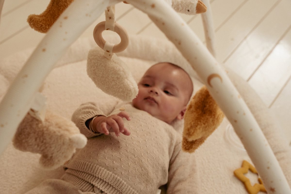 Aktivity Spieldecke Newborn Naturals GRS | Little Dutch