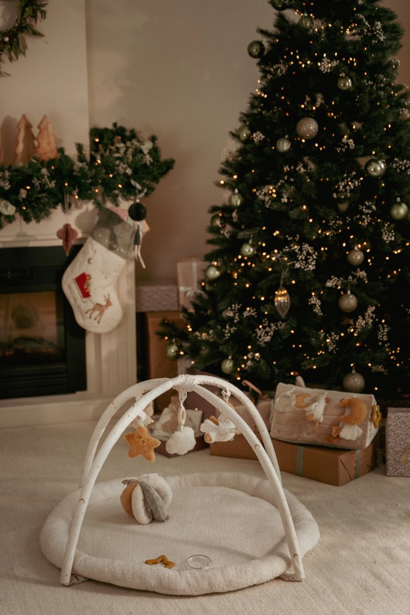Aktivity Spieldecke Newborn Naturals GRS | Little Dutch