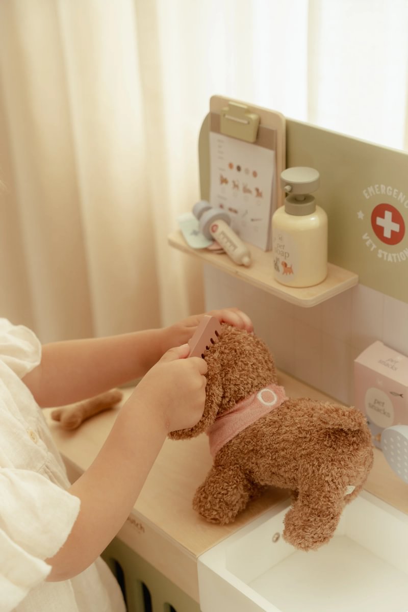 Veterinary Practice | Little Dutch