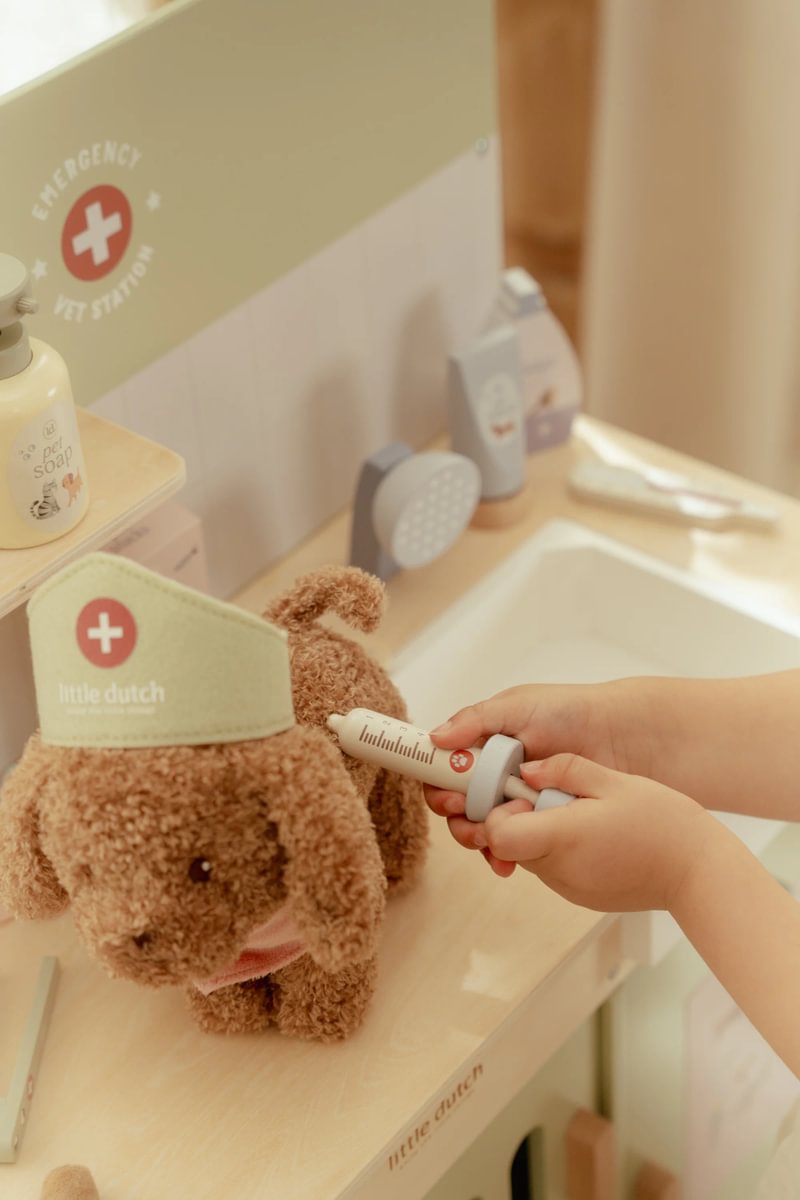 Veterinary Practice | Little Dutch