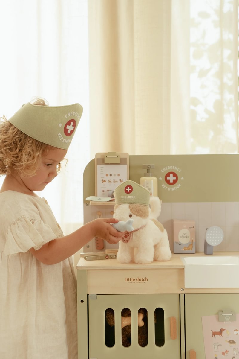 Veterinary Practice | Little Dutch