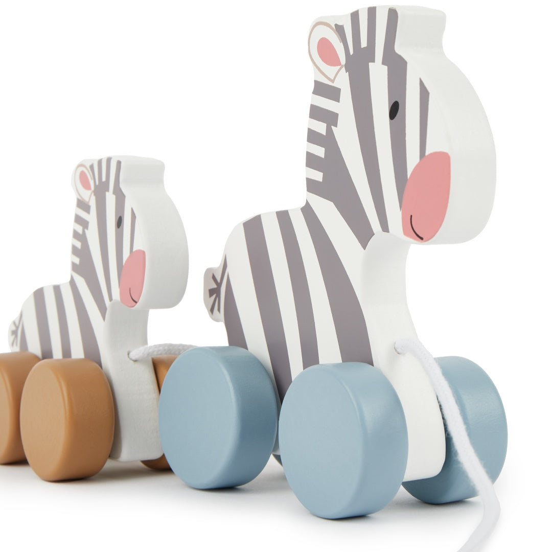 Trailing Zebras | bieco