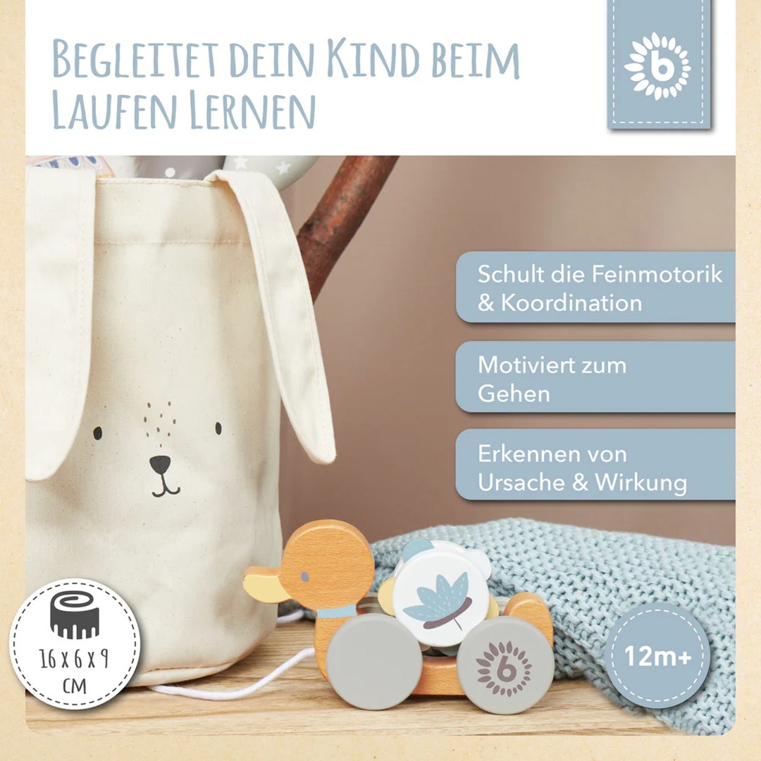 Nachzieh-Ente | bieco