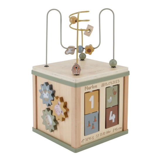 Little Farm Motor Skills Cube - For Birth | Little Dutch