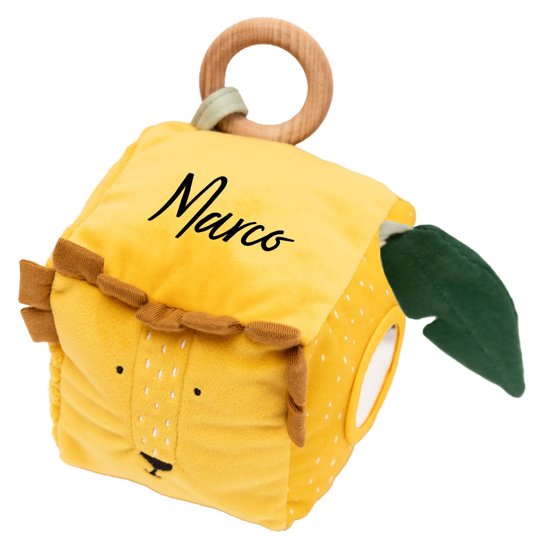 Activity Cube - Mr. Lion | Trixie