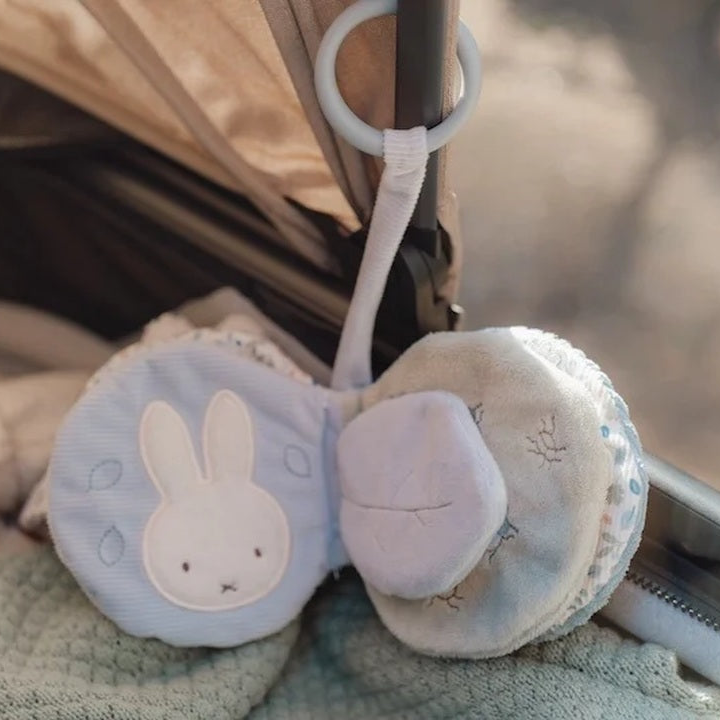 Buggy book Lucky Leaves x Miffy