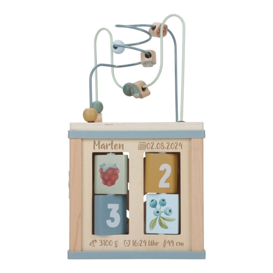 Forest Friends Motor Skills Cube "For Birth" | Little Dutch