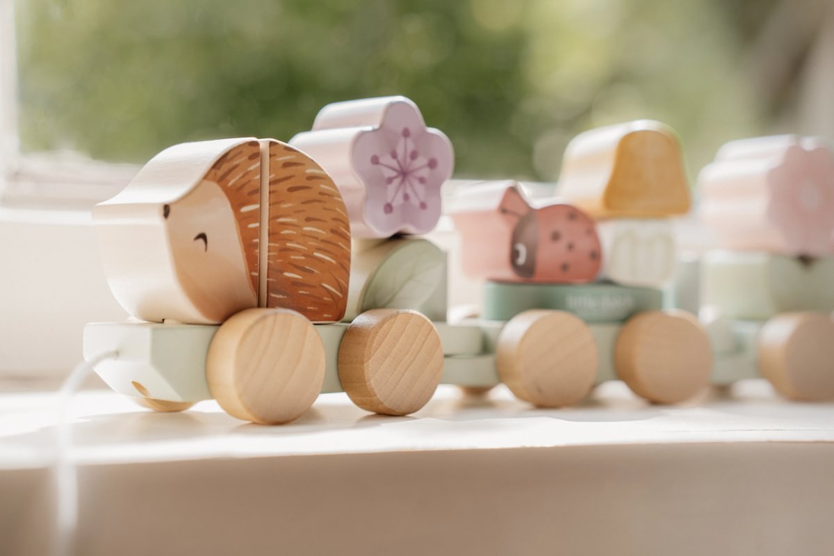 Wooden Train Hedgehog Fairy Garden "For Baptism" | Little Dutch