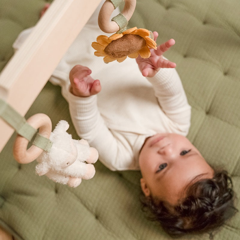 Little Farm | Little Dutch Play Trapeze