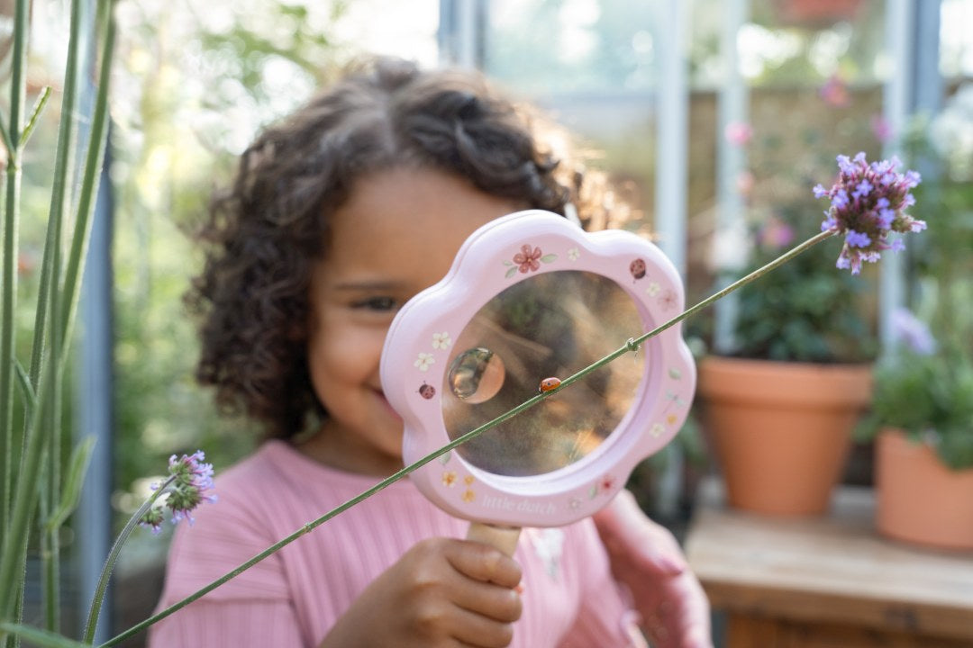 Lupe Fairy Garden | Little Dutch