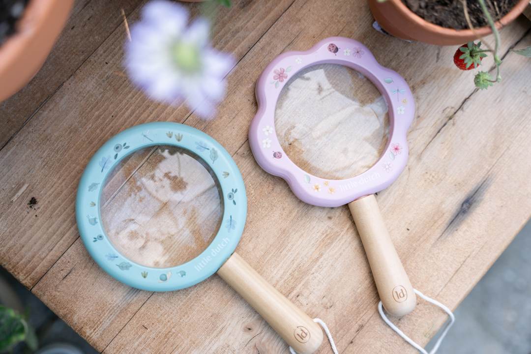 Lupe Fairy Garden | Little Dutch