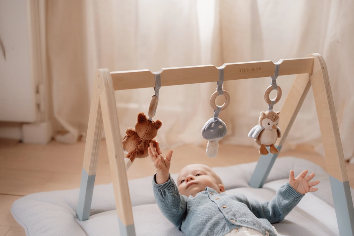 Spieltrapez Forest Friends | Little Dutch