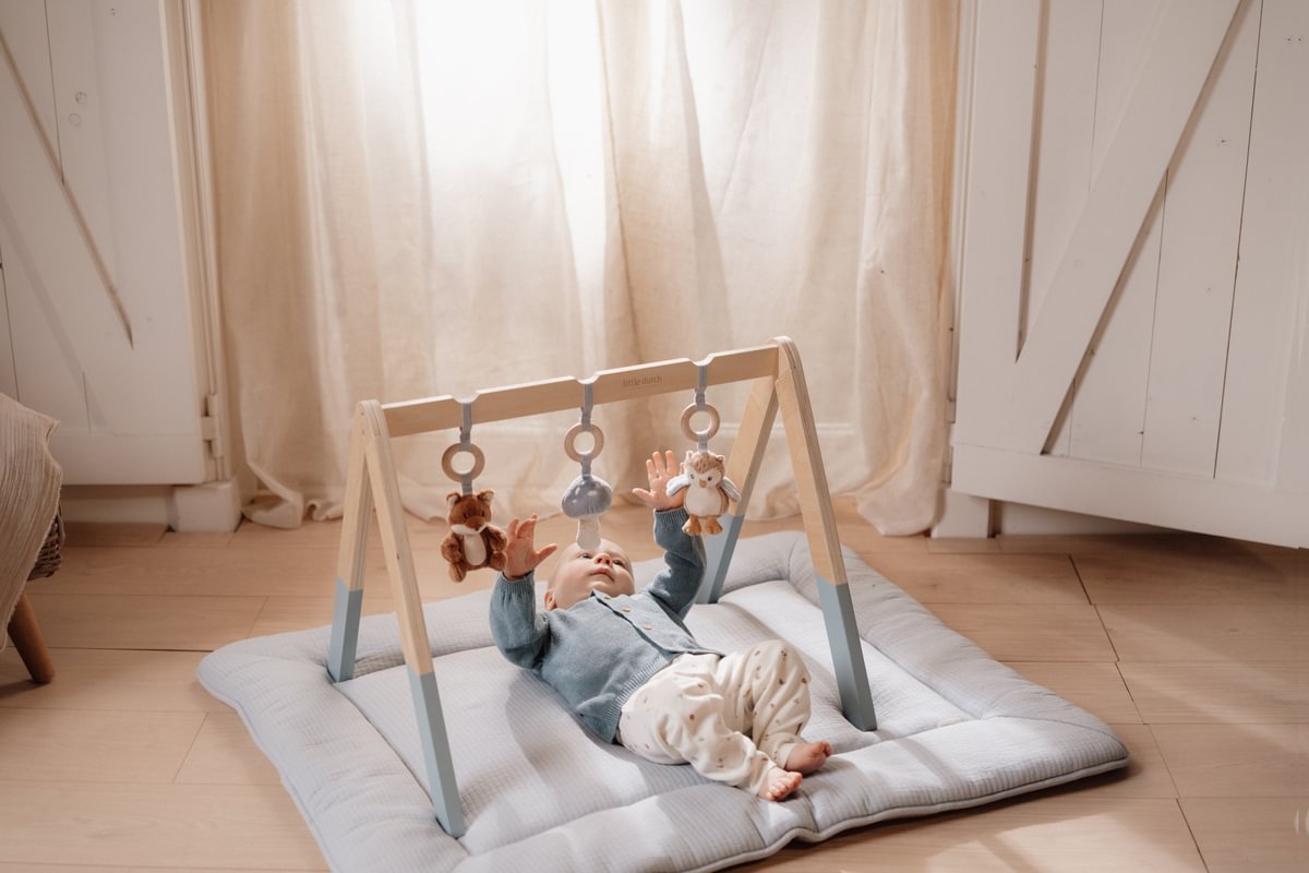 Spieltrapez Forest Friends | Little Dutch