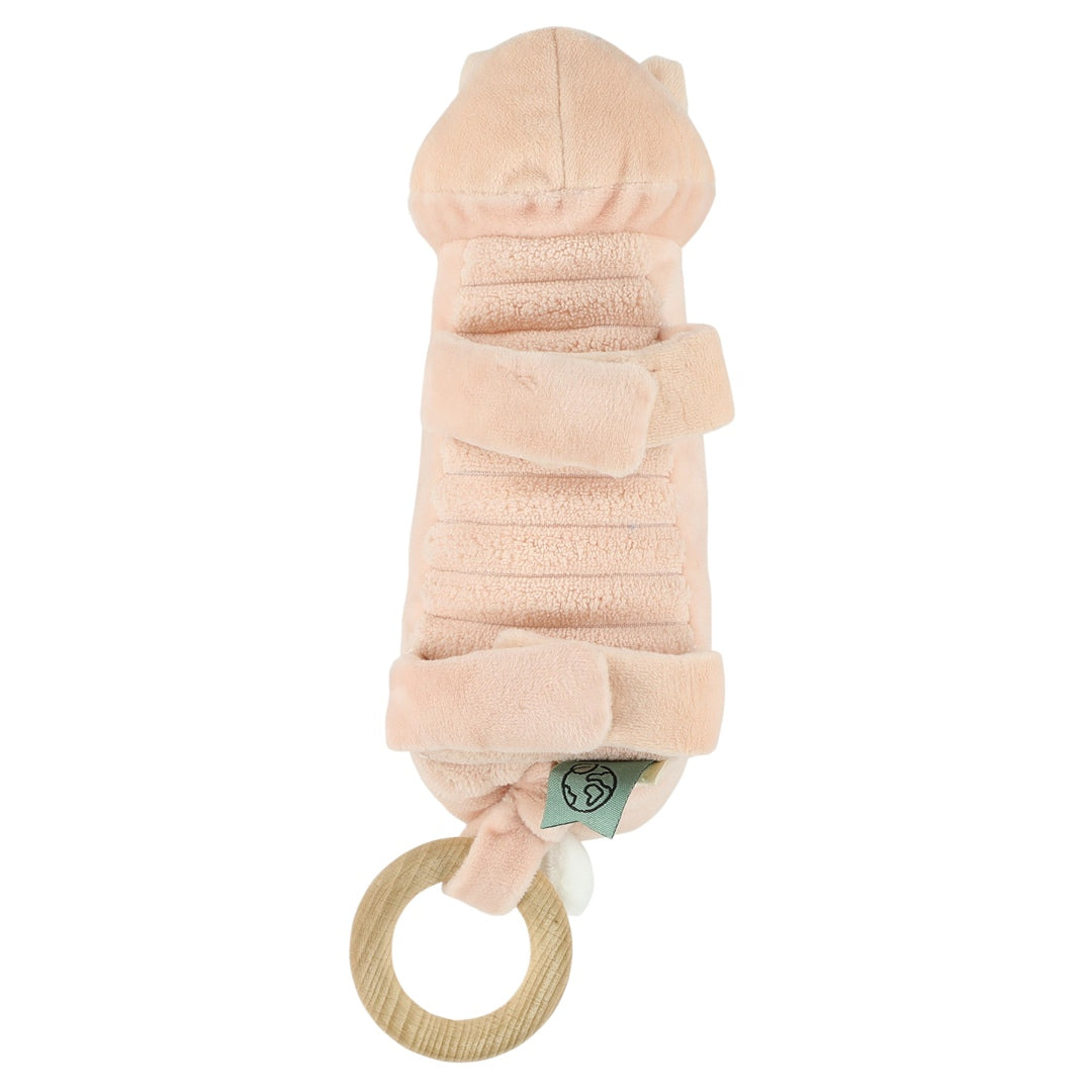 Music Box - Mrs. Rabbit | Trixie