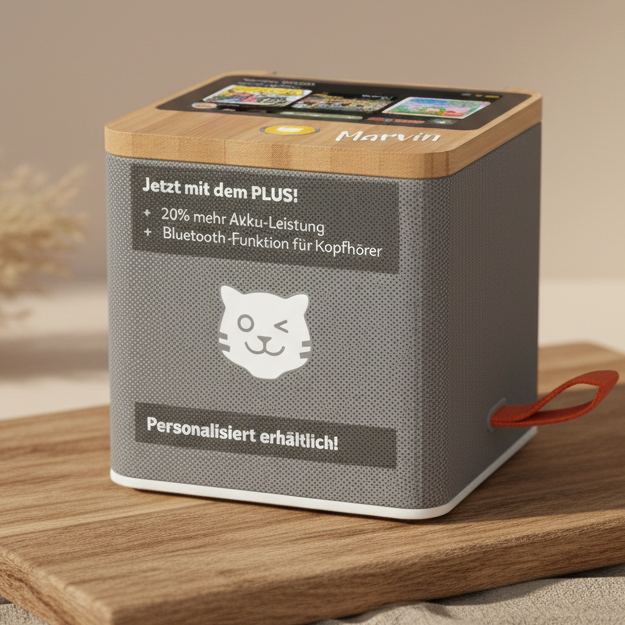 Tigerbox Touch Plus gris Bluetooth | par Schmatzepuffer® « personnalisable »