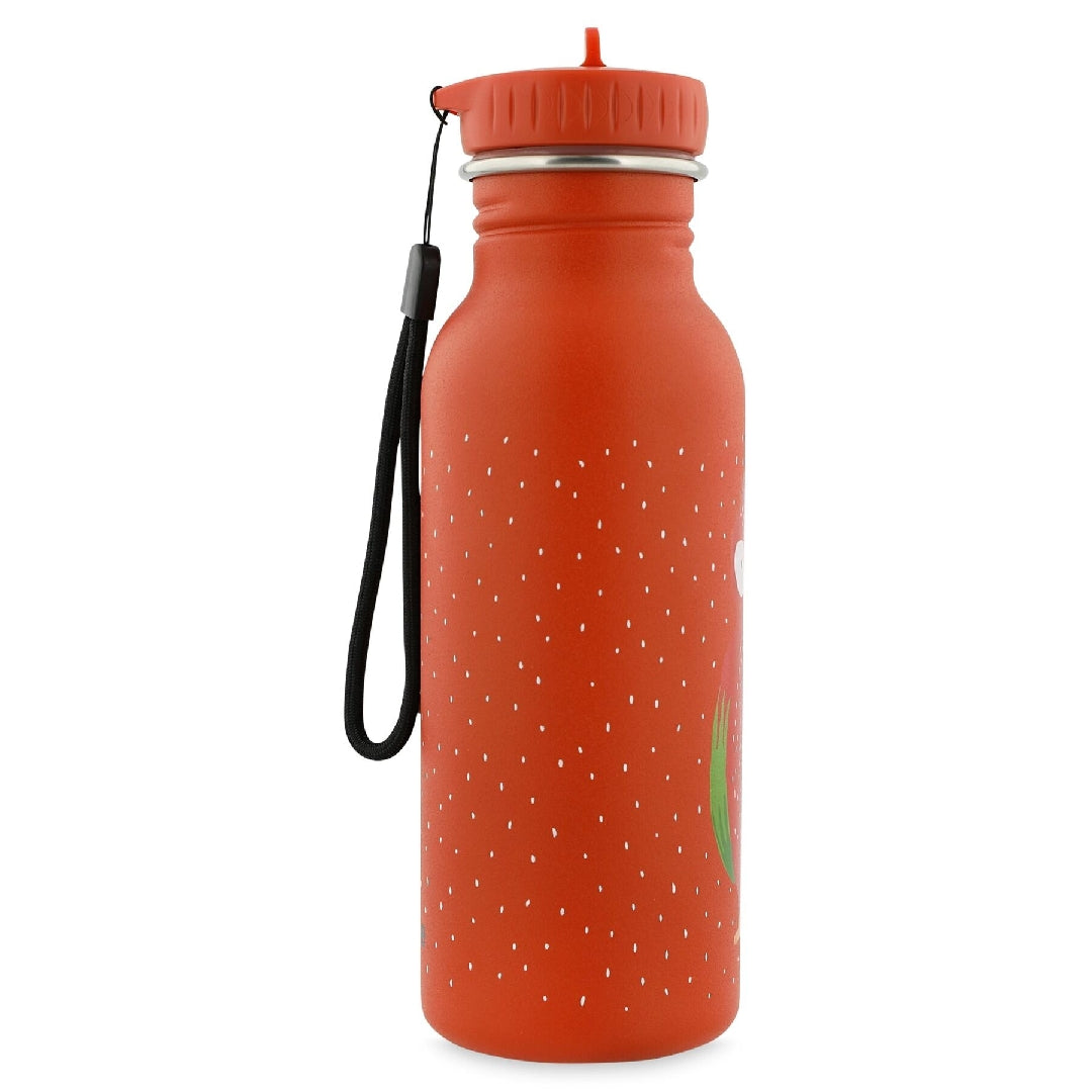Gourde 500 ml – Mr. Parrot | Trixie