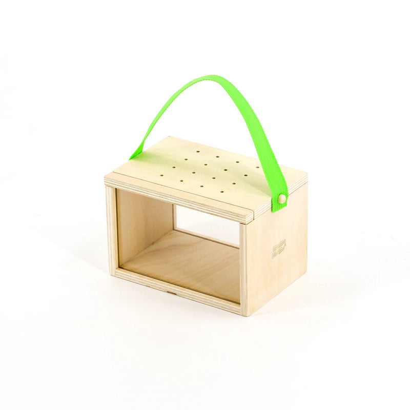 Beetle House | MaMaMeMo
