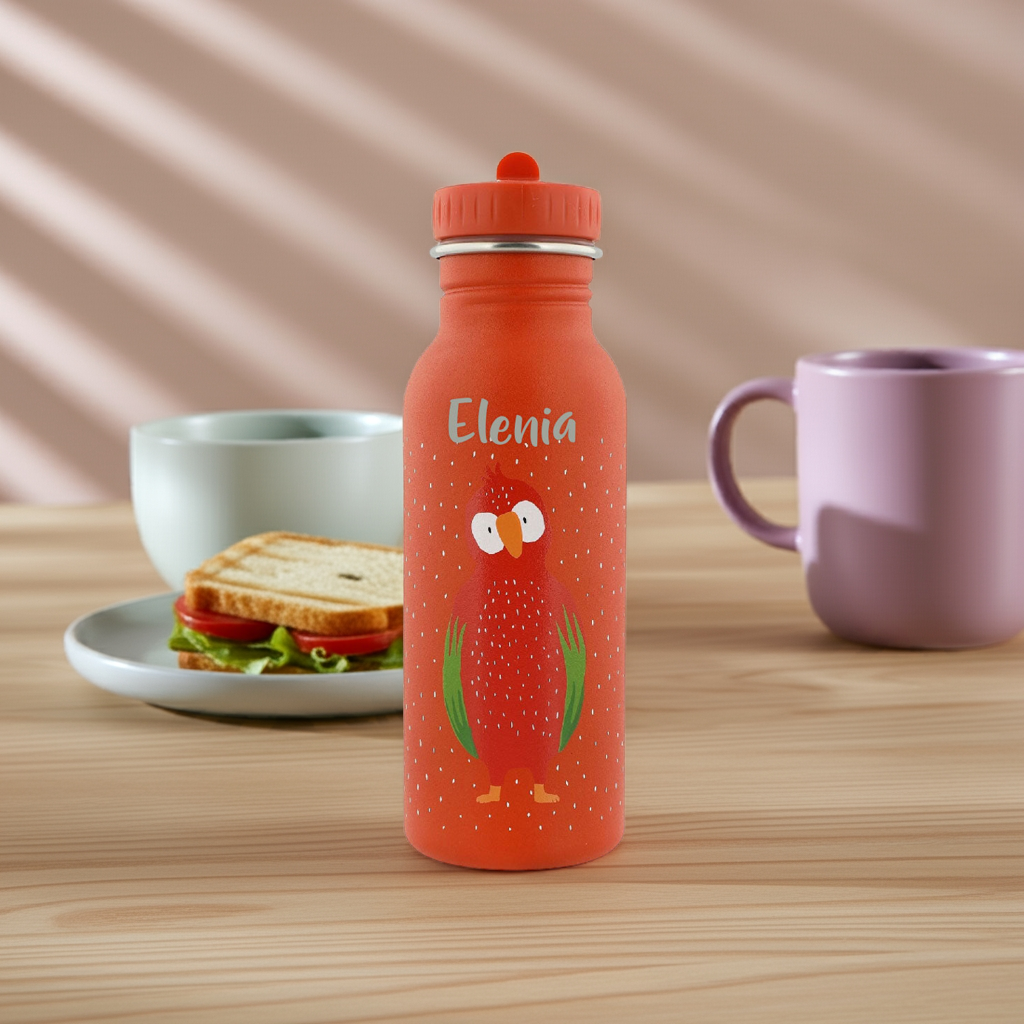 Gourde 500 ml – Mr. Parrot | Trixie