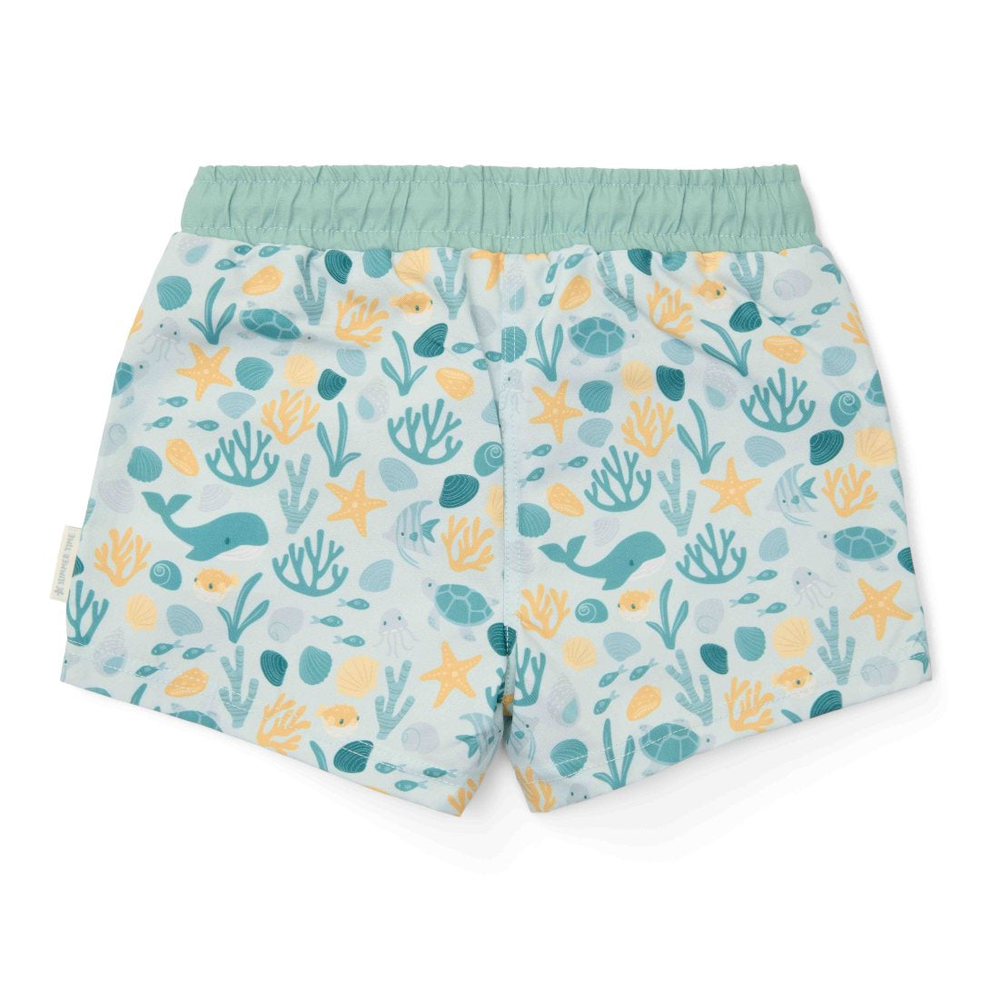 Badehose Seashells Multi-colour | Little Dutch