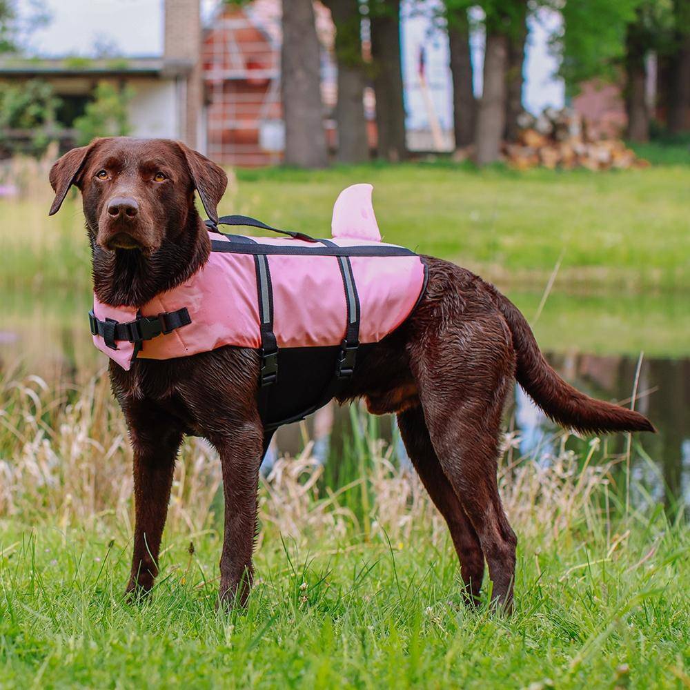 Gilet de sauvetage pour chien « Sharki » rose, taille L - 40 cm | Nobby