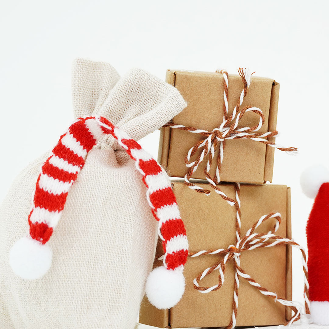 Coffret Noël et Saint-Nicolas | Manuel du Père Noël secret