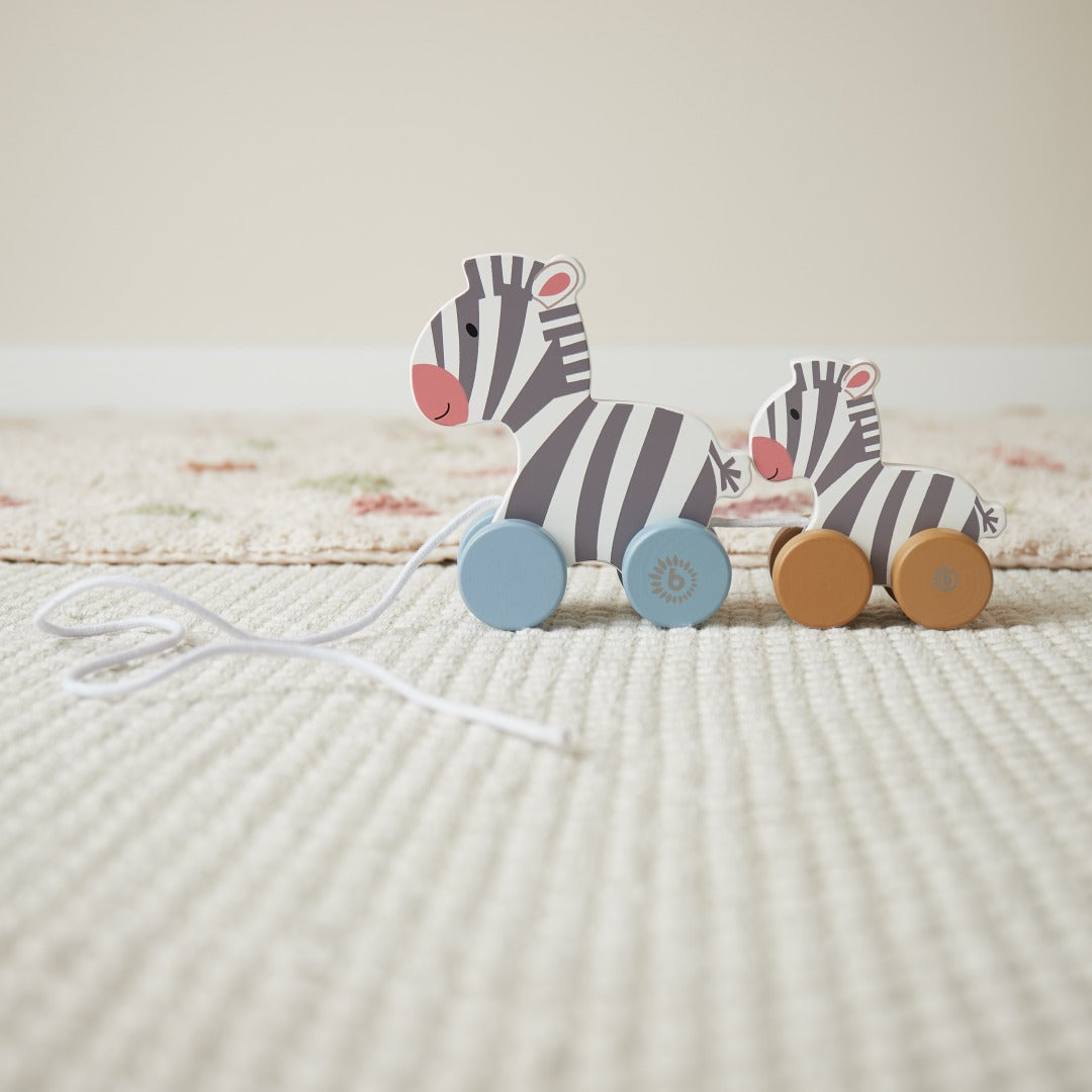 Trailing Zebras | bieco