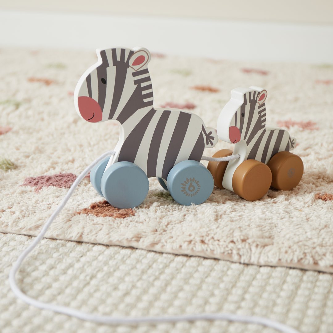 Trailing Zebras | bieco