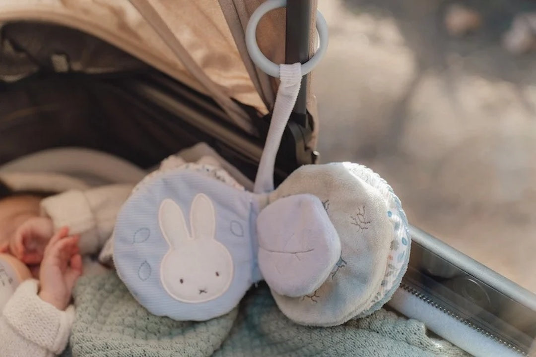 Buggybuch Lucky Leaves  x Miffy