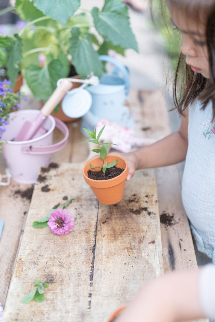 Bucket Fairy Garden