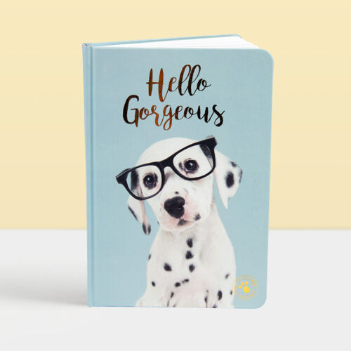 STUDIO PETS – HARDCOVER-NOTIZBUCH "SPOT" (A5)