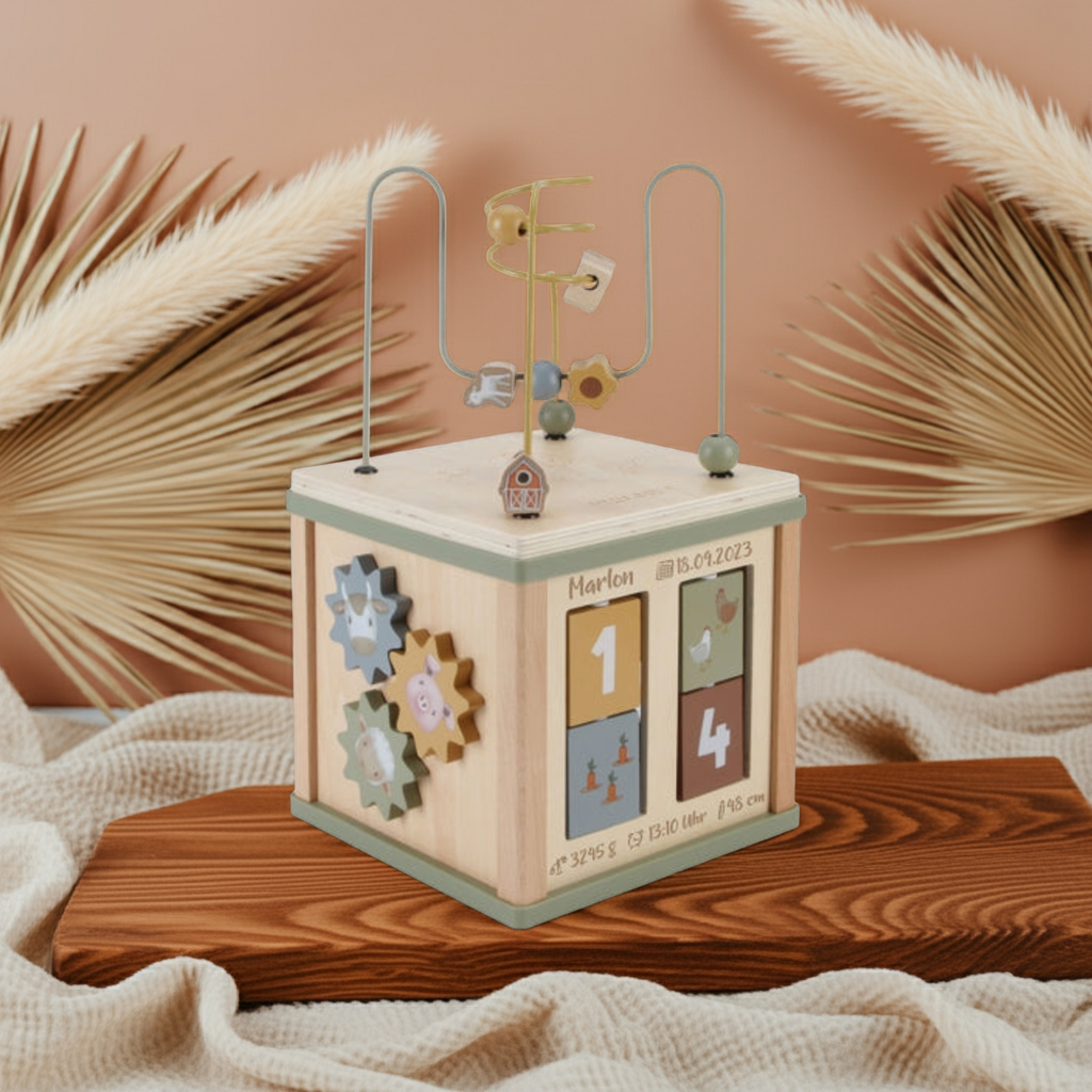 Little Farm Motor Skills Cube - For Birth | Little Dutch